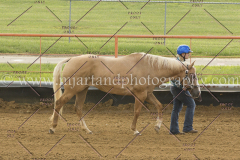 PC4Hbootcamp2015_3011_notforcopy