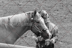 PC4Hbootcamp2015_3120-2_notforcopy