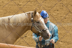 PC4Hbootcamp2015_3120_notforcopy