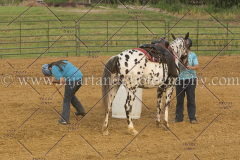 PC4HfunShow2015_0624_notforcopy