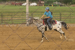 PC4HfunShow2015_0630_notforcopy