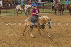 PC4HfunShow2015_0634_notforcopy