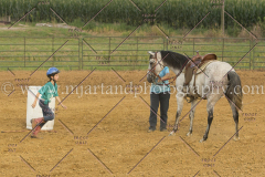 PC4HfunShow2015_0703_notforcopy