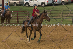 PC4HfunShow2015_0730_notforcopy