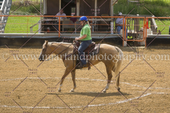 PC4Hbootcamp2015_4399_notforcopy