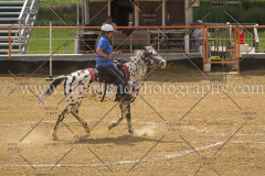 PC4Hbootcamp2015_4444_notforcopy