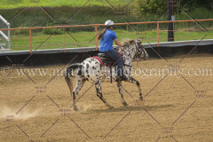 PC4Hbootcamp2015_4445_notforcopy