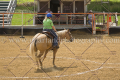 PC4Hbootcamp2015_4461_notforcopy