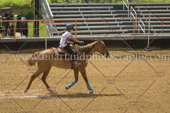 PC4Hbootcamp2015_4478_notforcopy