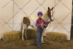 PC4Hbootcamp2015_2714_notforcopy