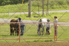 PC4Hbootcamp2015_2788_notforcopy