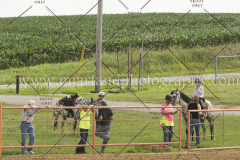 PC4Hbootcamp2015_3325_notforcopy