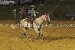 PC4HfunShow2015_0976_notforcopy