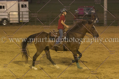 PC4HfunShow2015_0993_notforcopy