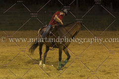 PC4HfunShow2015_1007_notforcopy