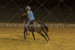 PC4HfunShow2015_1034_notforcopy
