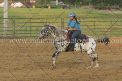 PC4HfunShow2015_0427_notforcopy