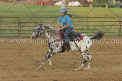 PC4HfunShow2015_0429_notforcopy