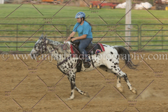 PC4HfunShow2015_0430_notforcopy