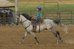 PC4HfunShow2015_0447_notforcopy