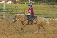 PC4HfunShow2015_0458_notforcopy