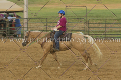 PC4HfunShow2015_0463_notforcopy