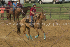 PC4HfunShow2015_0507_notforcopy