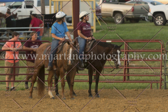 PC4HfunShow2015_0514_notforcopy