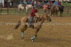 PC4HfunShow2015_0518_notforcopy