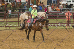 PC4HfunShow2015_0531_notforcopy