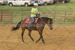 PC4HfunShow2015_0534_notforcopy