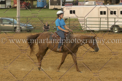 PC4HfunShow2015_0553_notforcopy