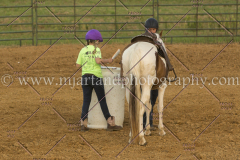 PC4HfunShow2015_0580_notforcopy