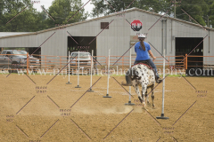 PC4Hbootcamp2015_4511_notforcopy