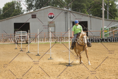 PC4Hbootcamp2015_4557_notforcopy