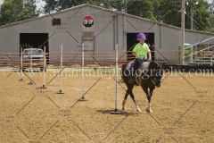 PC4Hbootcamp2015_4599_notforcopy