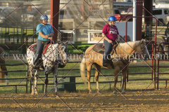 PC4HfunShow2015_0063_notforcopy