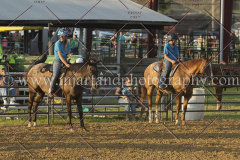 PC4HfunShow2015_0065_notforcopy