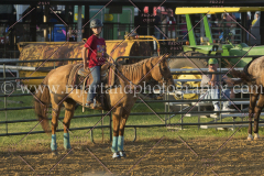 PC4HfunShow2015_0066_notforcopy