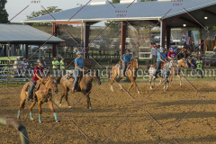 PC4HfunShow2015_0074_notforcopy