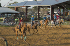 PC4HfunShow2015_0076_notforcopy