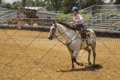 PC4Hbootcamp2015_4068_notforcopy