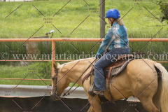 PC4Hbootcamp2015_4194_notforcopy