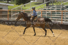 PC4Hbootcamp2015_4282_notforcopy