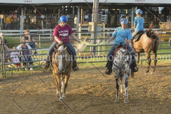 PC4HfunShow2015_0111_notforcopy