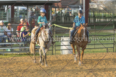 PC4HfunShow2015_0144_notforcopy
