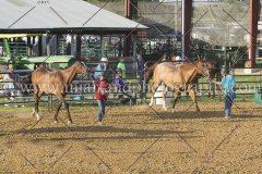 PC4HfunShow2015_9870_notforcopy