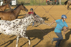 PC4HfunShow2015_9874_notforcopy
