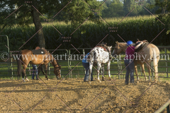 PC4HfunShow2015_9891_notforcopy