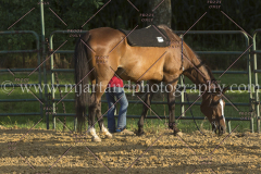 PC4HfunShow2015_9895_notforcopy